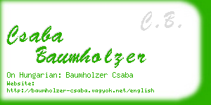 csaba baumholzer business card